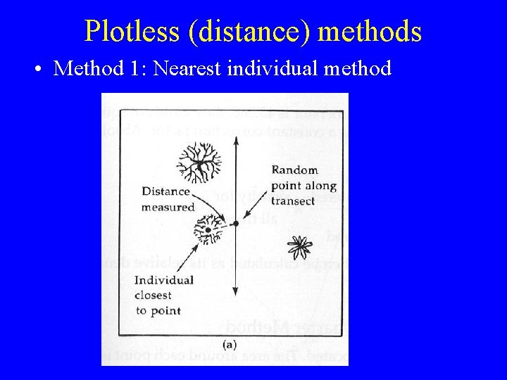 Plotless (distance) methods • Method 1: Nearest individual method 