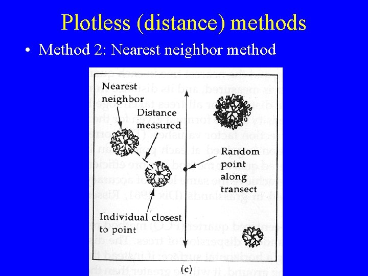 Plotless (distance) methods • Method 2: Nearest neighbor method 