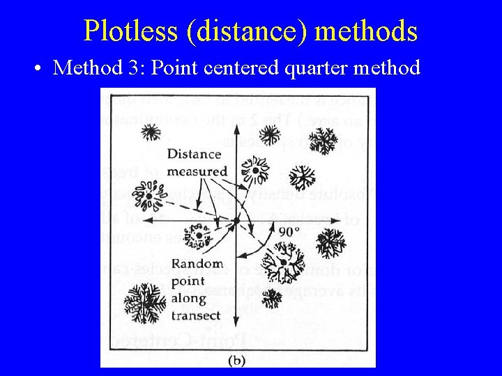 Plotless (distance) methods • Method 3: Point centered quarter method 
