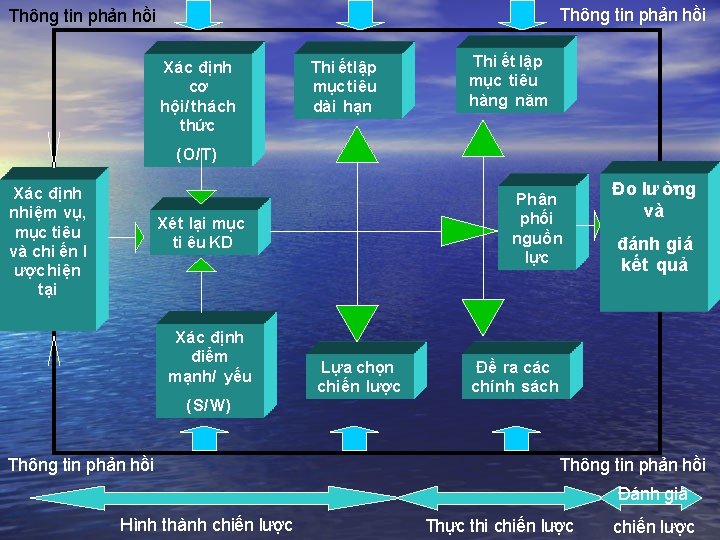 Thông tin phản hồi Xác định cơ hội/thách thức Thi ết lập mục tiêu