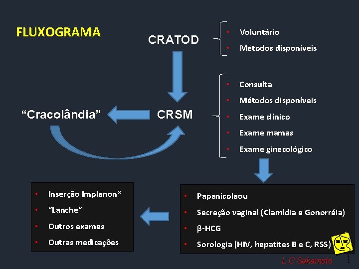 FLUXOGRAMA “Cracolândia” CRATOD CRSM • Voluntário • Métodos disponíveis • Consulta • Métodos disponíveis