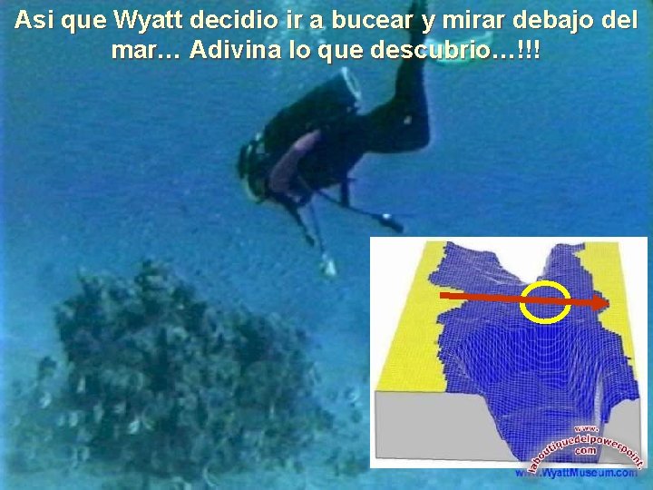 Asi que Wyatt decidio ir a bucear y mirar debajo del mar… Adivina lo Asi que Wyatt decidio ir a bucear y mirar debajo del mar… Adivina lo