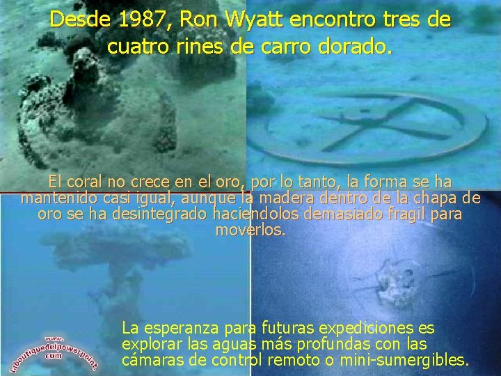 Desde 1987, Ron Wyatt encontro tres de cuatro rines de carro dorado. El coral Desde 1987, Ron Wyatt encontro tres de cuatro rines de carro dorado. El coral
