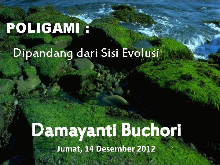 POLIGAMI : Dipandang dari Sisi Evolusi Damayanti Buchori Jumat, 14 Desember 2012 