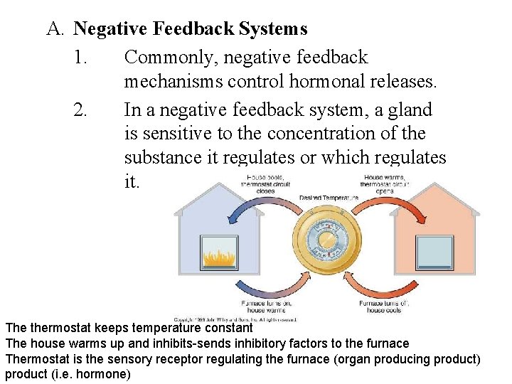  A. Negative Feedback Systems 1. Commonly, negative feedback mechanisms control hormonal releases. 2.