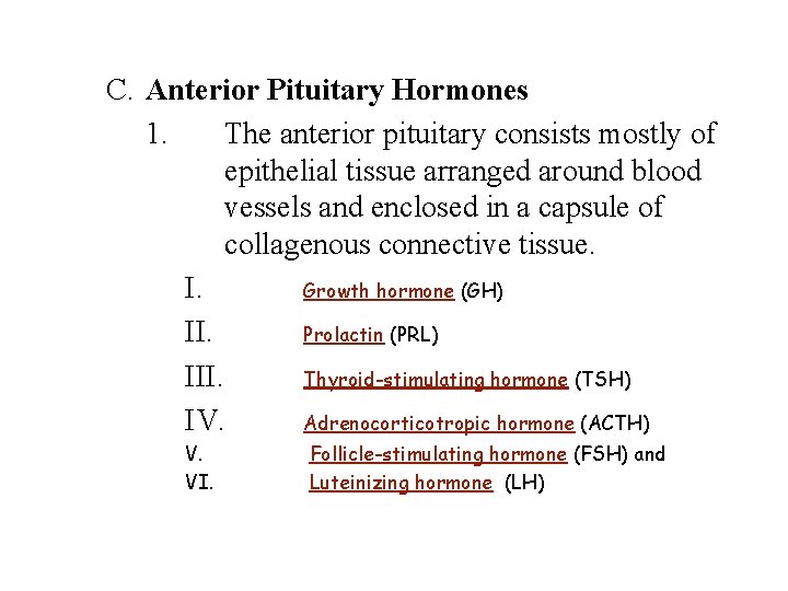 C. Anterior Pituitary Hormones 1. The anterior pituitary consists mostly of epithelial tissue arranged