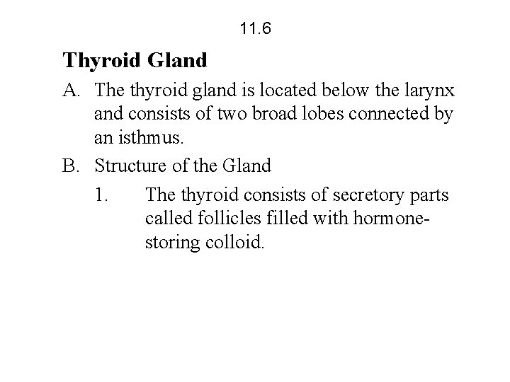 11. 6 Thyroid Gland A. The thyroid gland is located below the larynx and