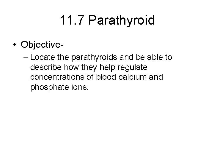 11. 7 Parathyroid • Objective– Locate the parathyroids and be able to describe how