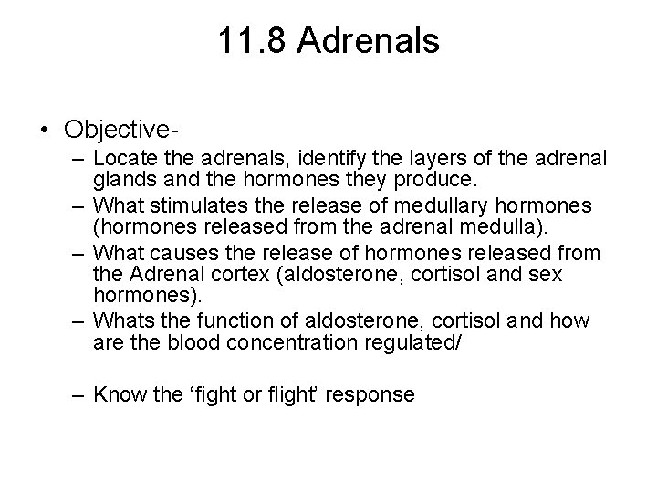 11. 8 Adrenals • Objective– Locate the adrenals, identify the layers of the adrenal