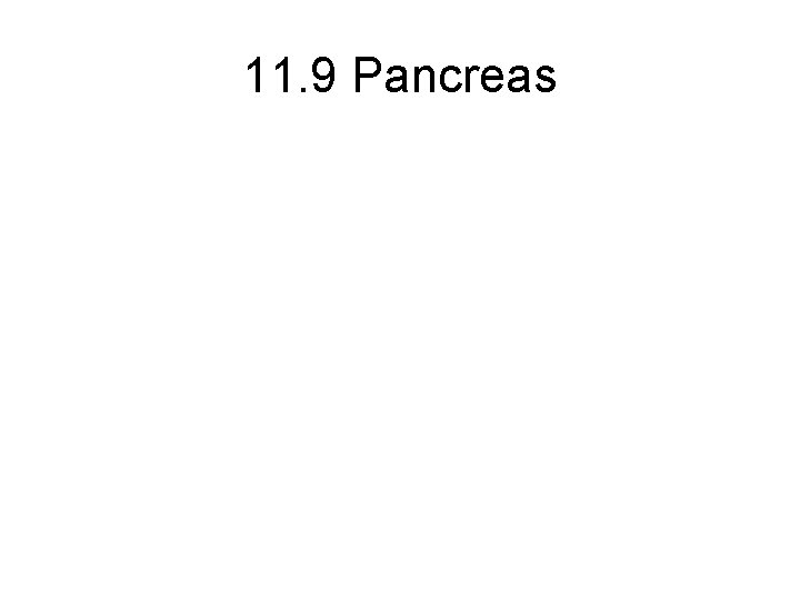 11. 9 Pancreas 