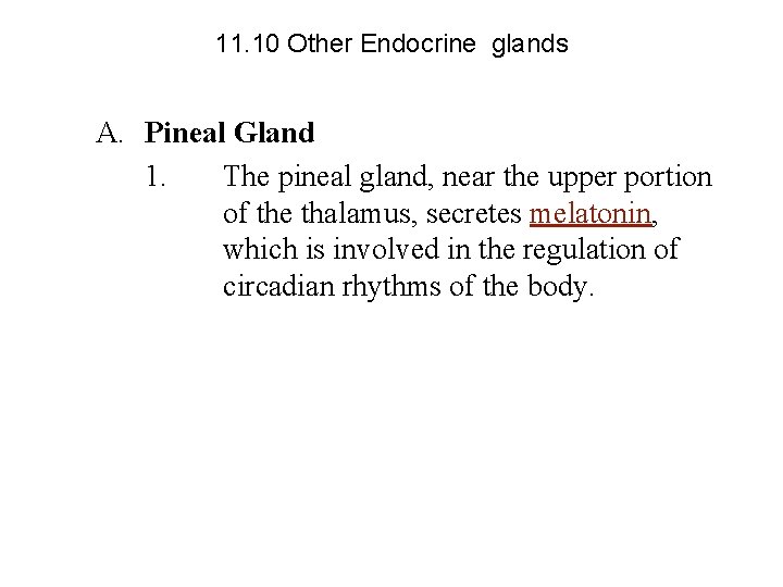 11. 10 Other Endocrine glands A. Pineal Gland 1. The pineal gland, near the