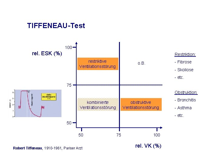 TIFFENEAU-Test 100 rel. ESK (%) Restriktion: restriktive Ventilationsstörung - Fibrose o. B. - Skoliose