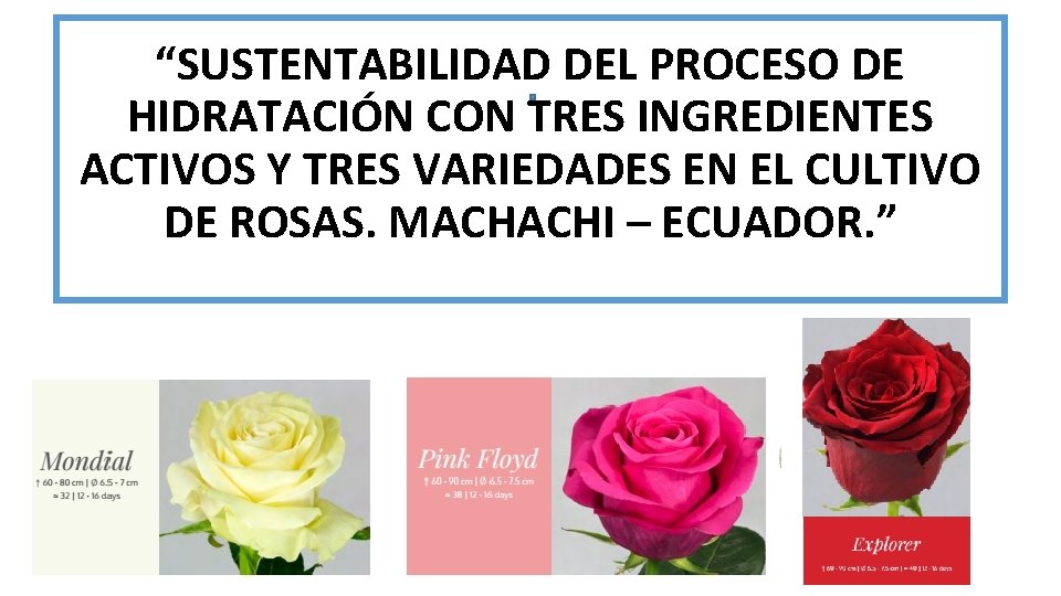 “SUSTENTABILIDAD DEL PROCESO DE HIDRATACIÓN CON TRES INGREDIENTES ACTIVOS Y TRES VARIEDADES EN EL