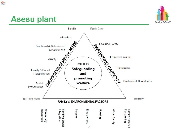 Asesu plant 21 