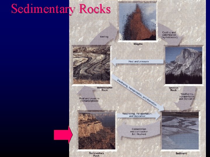 Sedimentary Rocks 