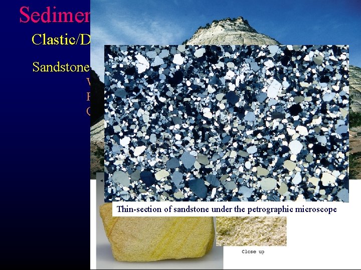 Sedimentary Rocks Clastic/Detrital Rocks Sandstone- Composed of sand-sized particles Well-sorted: water or wind Forms