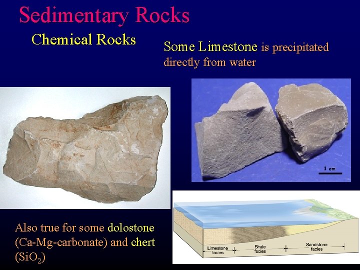 Sedimentary Rocks Chemical Rocks Some Limestone is precipitated directly from water Also true for