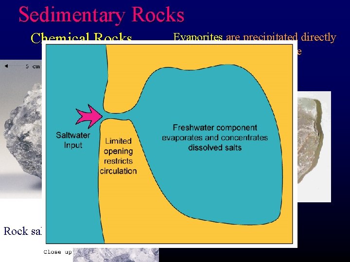 Sedimentary Rocks Chemical Rocks Rock salt Evaporites are precipitated directly from seawater when a