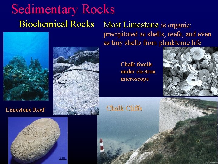 Sedimentary Rocks Biochemical Rocks Most Limestone is organic: precipitated as shells, reefs, and even