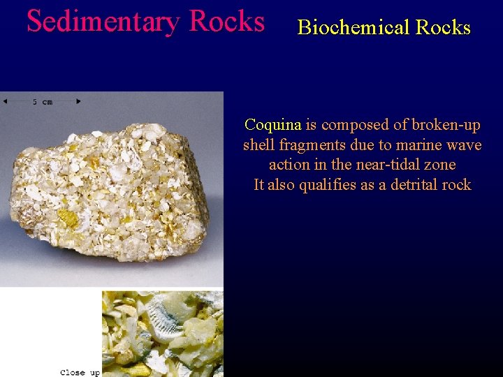 Sedimentary Rocks Biochemical Rocks Coquina is composed of broken-up shell fragments due to marine