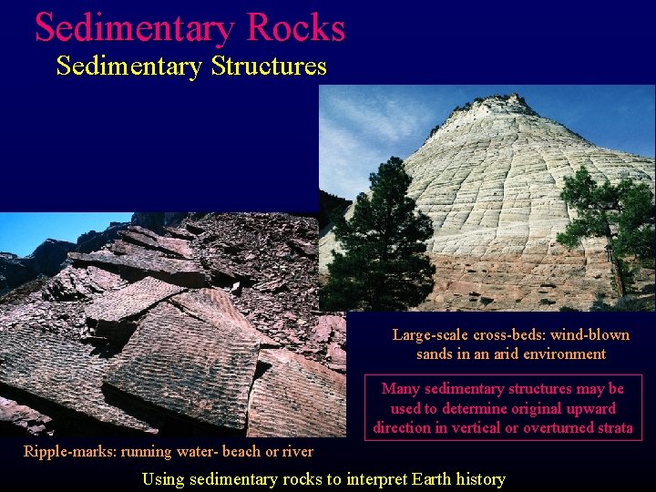 Sedimentary Rocks Sedimentary Structures Large-scale cross-beds: wind-blown sands in an arid environment Many sedimentary