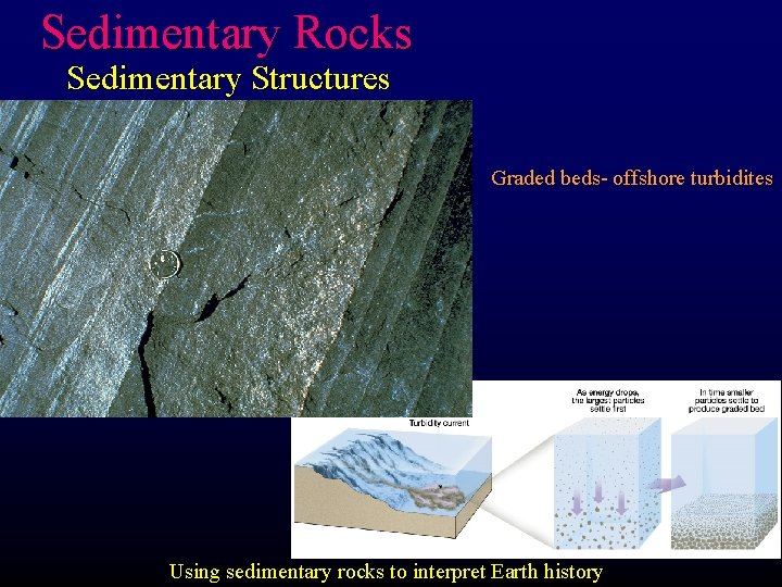 Sedimentary Rocks Sedimentary Structures Graded beds- offshore turbidites Using sedimentary rocks to interpret Earth