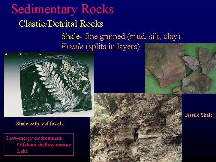 Sedimentary Rocks Clastic/Detrital Rocks Shale- fine grained (mud, silt, clay) Fissile (splits in layers)