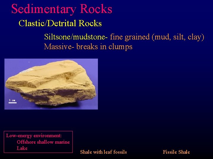 Sedimentary Rocks Clastic/Detrital Rocks Siltsone/mudstone- fine grained (mud, silt, clay) Massive- breaks in clumps