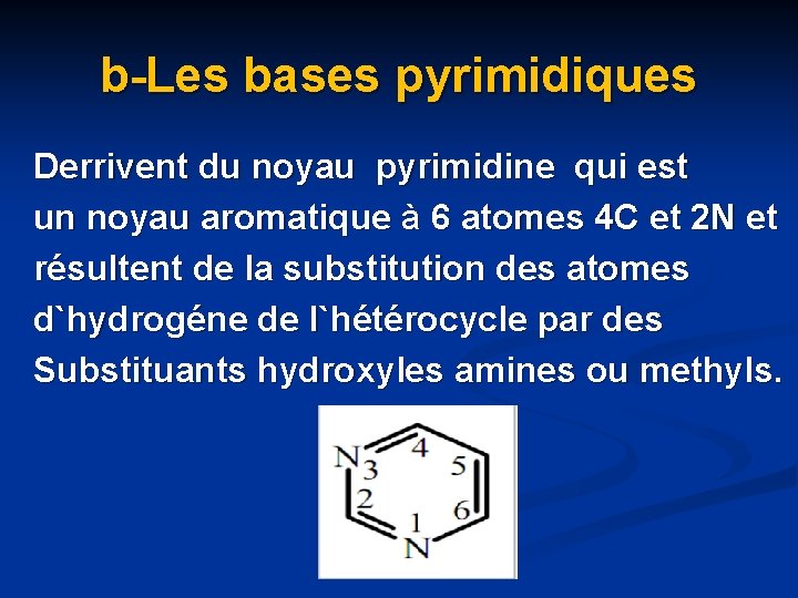 b-Les bases pyrimidiques Derrivent du noyau pyrimidine qui est un noyau aromatique à 6