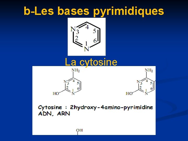 b-Les bases pyrimidiques La cytosine 