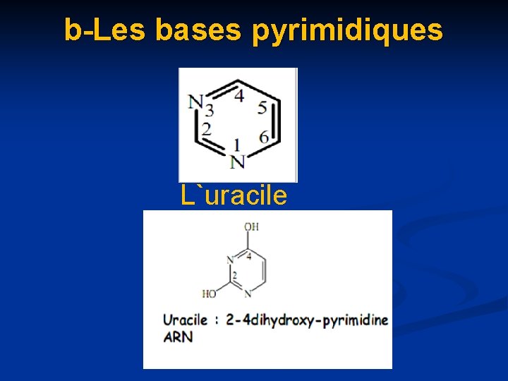 b-Les bases pyrimidiques L`uracile 