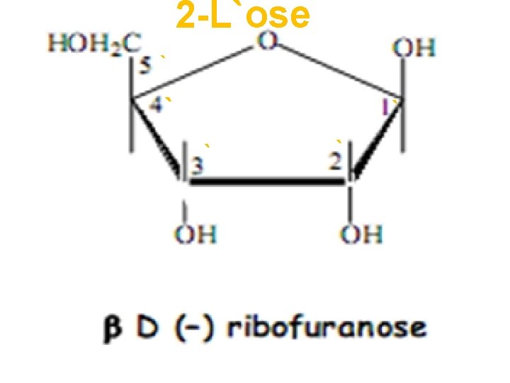 2 -L`ose ` ` ` 