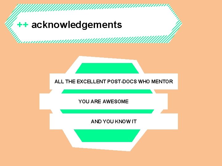 ++ acknowledgements ALL THE EXCELLENT POST-DOCS WHO MENTOR YOU ARE AWESOME AND YOU KNOW