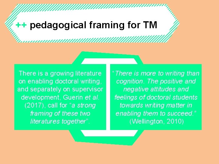 ++ pedagogical framing for TM There is a growing literature on enabling doctoral writing,