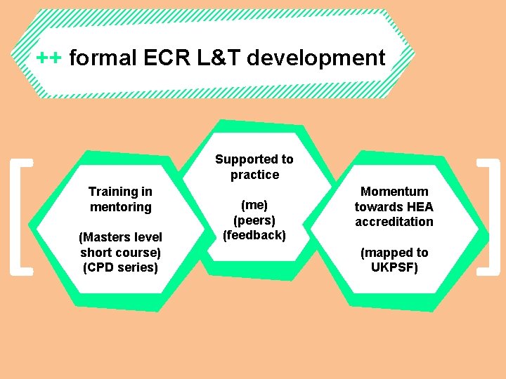 ++ formal ECR L&T development [ Supported to practice Training in mentoring (Masters level