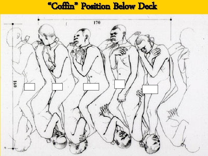 “Coffin” Position Below Deck 