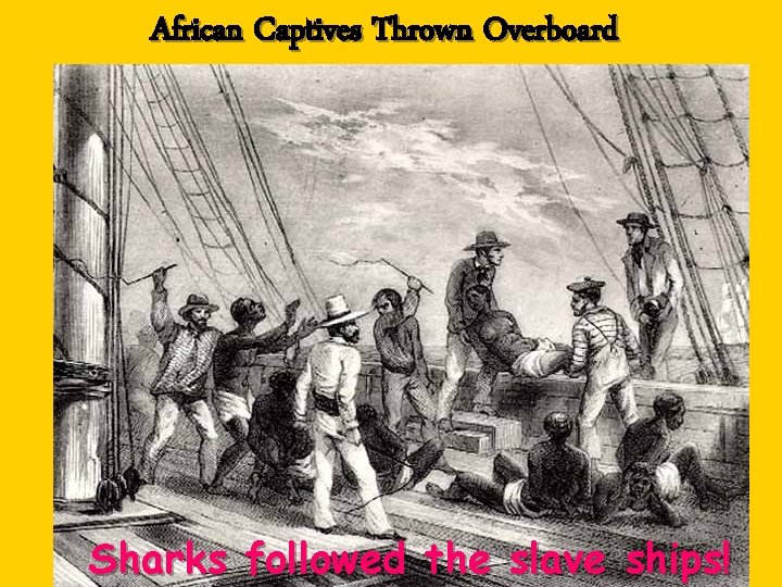 African Captives Thrown Overboard Sharks followed the slave ships! 