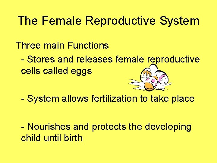 The Female Reproductive System Three main Functions - Stores and releases female reproductive cells
