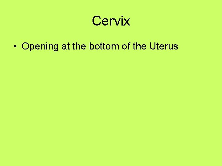 Cervix • Opening at the bottom of the Uterus 