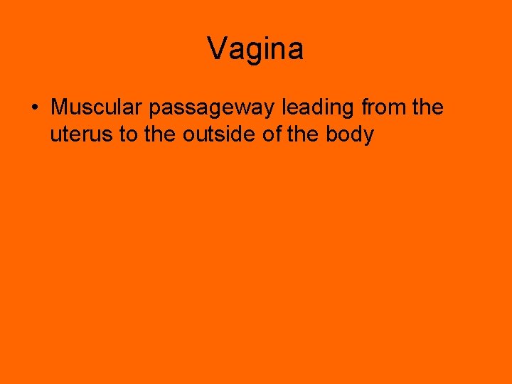 Vagina • Muscular passageway leading from the uterus to the outside of the body