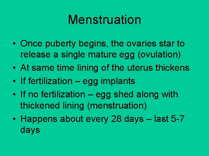 Menstruation • Once puberty begins, the ovaries star to release a single mature egg