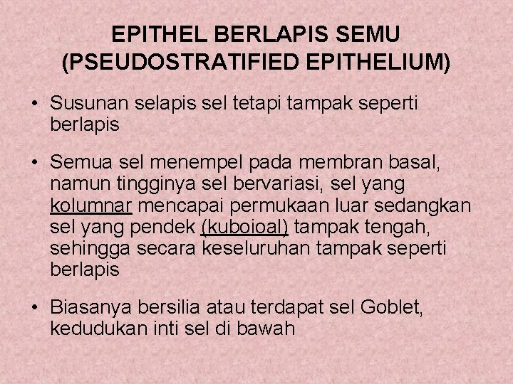 EPITHEL BERLAPIS SEMU (PSEUDOSTRATIFIED EPITHELIUM) • Susunan selapis sel tetapi tampak seperti berlapis •