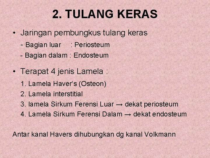 2. TULANG KERAS • Jaringan pembungkus tulang keras - Bagian luar : Periosteum -