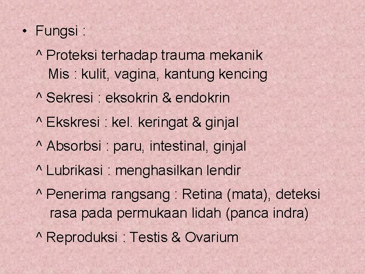  • Fungsi : ^ Proteksi terhadap trauma mekanik Mis : kulit, vagina, kantung