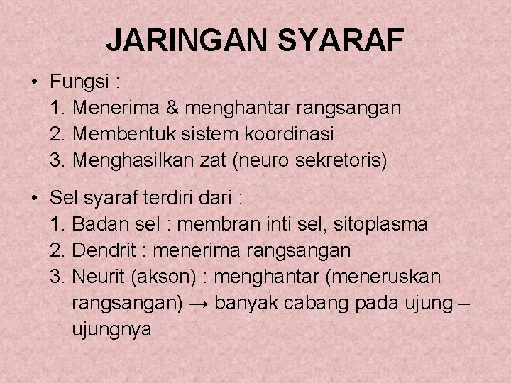 JARINGAN SYARAF • Fungsi : 1. Menerima & menghantar rangsangan 2. Membentuk sistem koordinasi