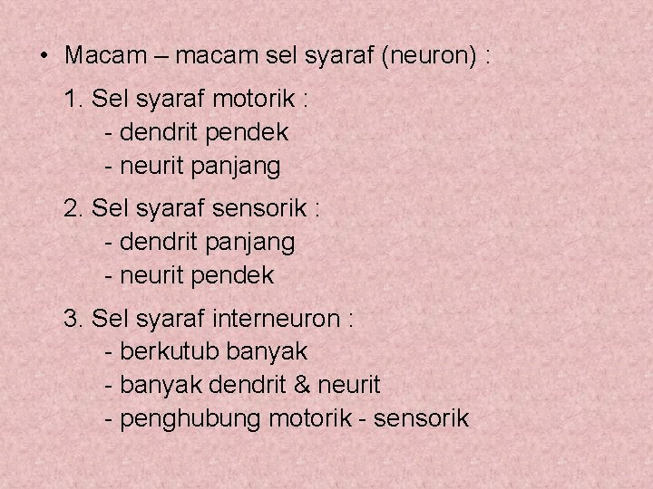  • Macam – macam sel syaraf (neuron) : 1. Sel syaraf motorik :