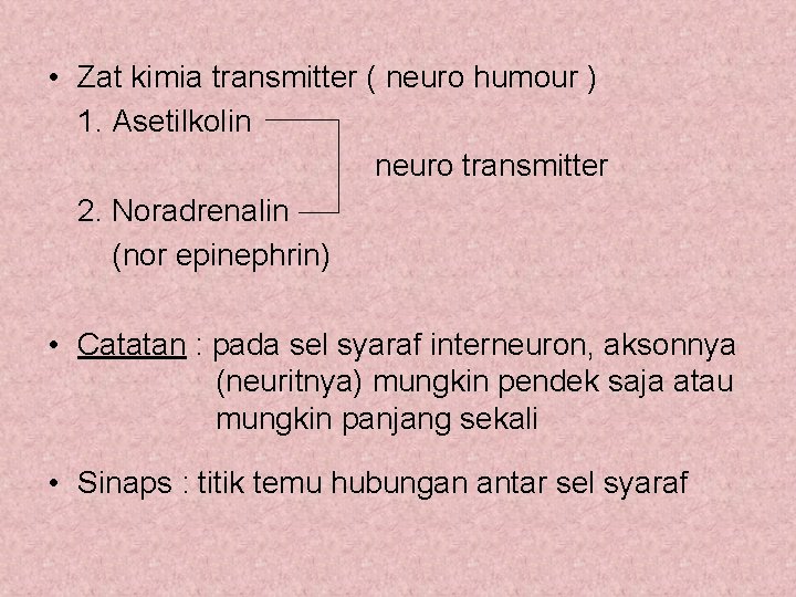  • Zat kimia transmitter ( neuro humour ) 1. Asetilkolin neuro transmitter 2.