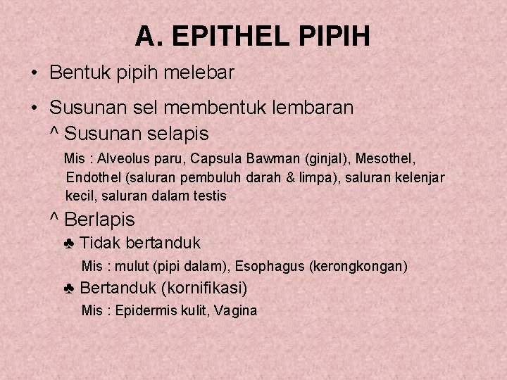 A. EPITHEL PIPIH • Bentuk pipih melebar • Susunan sel membentuk lembaran ^ Susunan