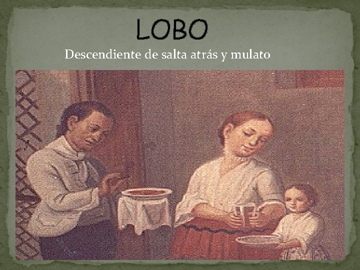 LOBO Descendiente de salta atrás y mulato 