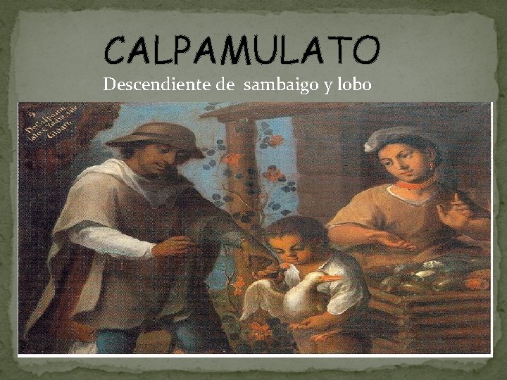 CALPAMULATO Descendiente de sambaigo y lobo 